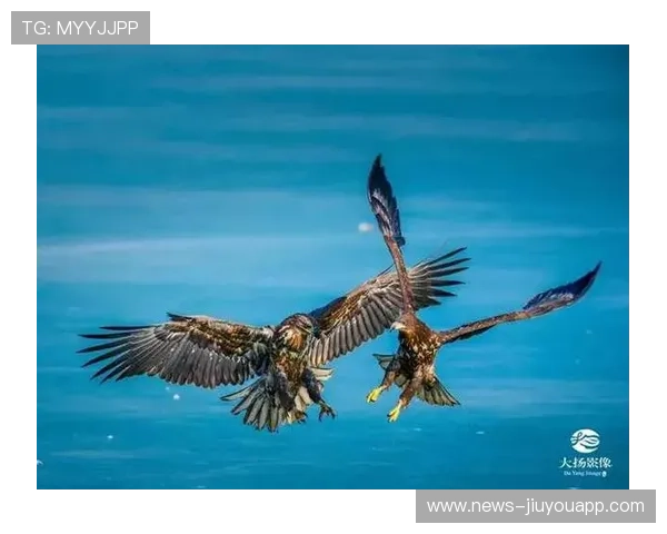 印度又破纪录,投球和击球双双在线,印度ball